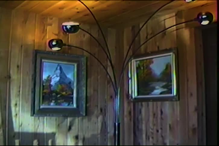 This video shows an indoor scene with a vintage aesthetic featuring woodpaneled walls and two framed landscape paintingsa multiarm arc floor lamp stands in the center with its curved necks extending outward to illuminate the artwork