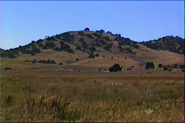 A dry grassy plain stretches toward a low rocky hill under a clear blue sky