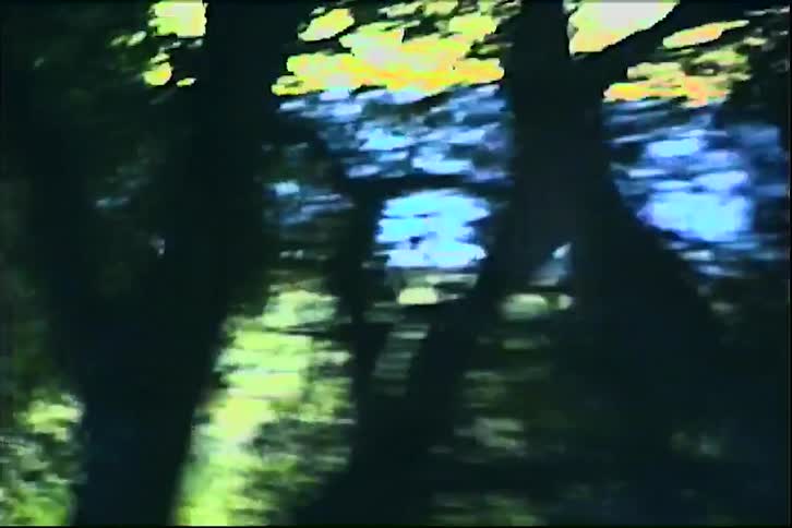 This video features a fastmoving blurry view of trees and sky captured in a vintage vhs aesthetic the footage uses heavy analog distortion and saturated colors to create a nostalgic lofi atmosphere as the camera pans through a wooded area