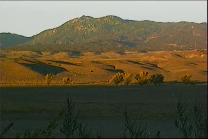 Rolling sand dunes stretch toward a line of trees with a mountain peak in the background