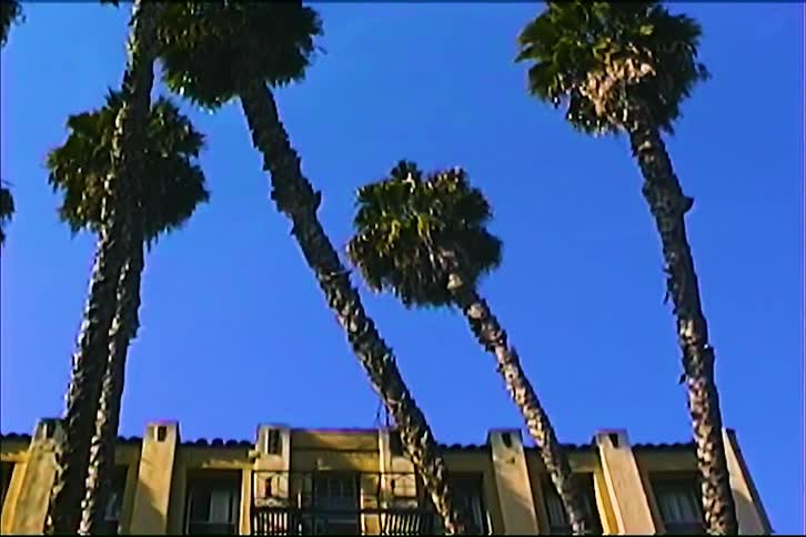A lowangle shot tilts down from a group of tall palm trees against a clear blue sky to reveal the upper stories of a yellow apartment building featuring black fire escapes and a tiled roof line