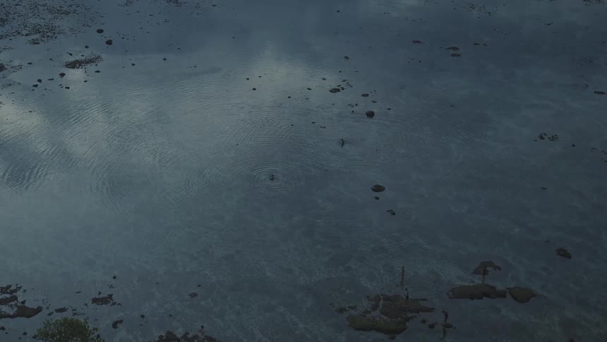 From high above several figures wade through the vast shallow waters of a dark marsh as clouds are reflected on the surface
