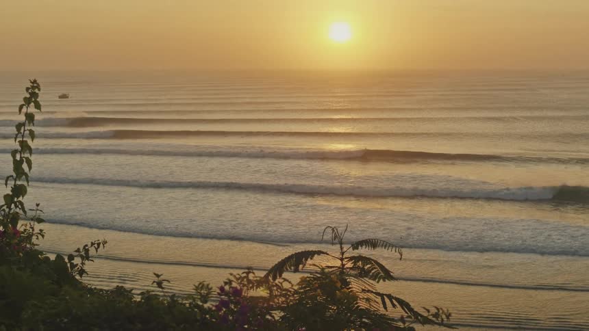 A beach at sunset with waves hitting the shoreline as the orange sun sets in the background and plants and grasses grow along the shore
