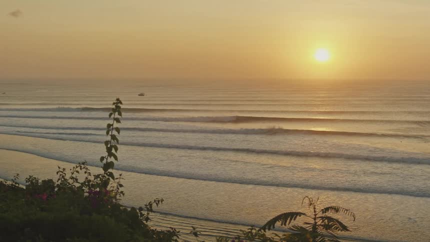 Aligned ocean waves at sunset with foreground vegetation and a glowing horizon