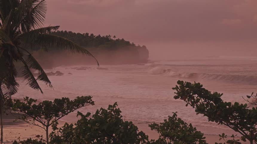 Ocean waves roll onto a tropical shore beneath a hazy sky where palm trees and dense greenery frame a view of a distant misty cliffside jutting into the sea during an overcast day
