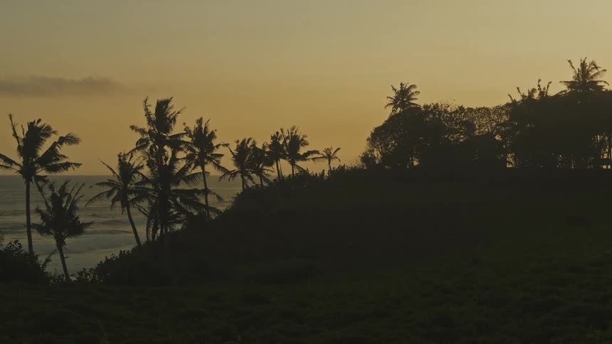 A tropical island lined with palm trees with an ocean view in the background at sunset