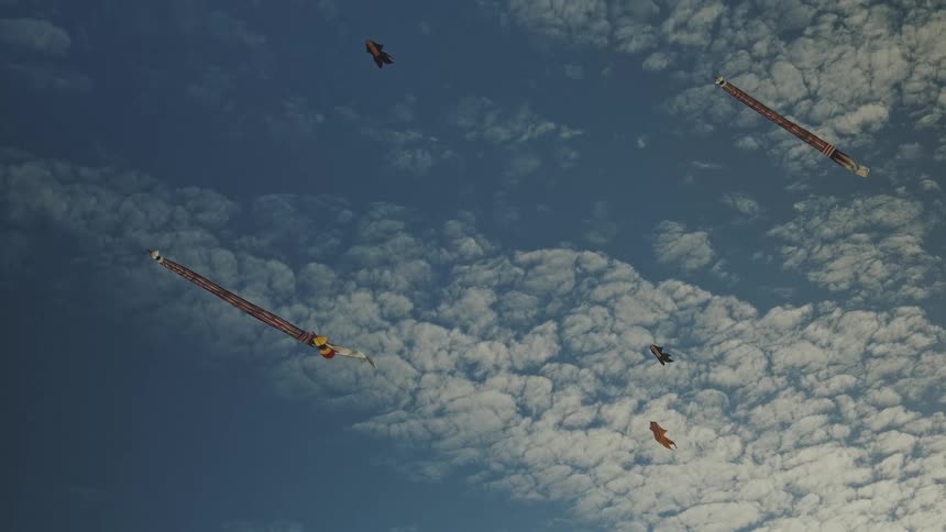 Colorful kites fly high across a blue sky filled with scattered white clouds
