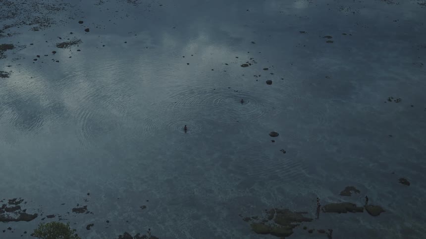 An aerial shot captures people wading slowly through a dark expansive marsh their movements creating ripples across the waters reflective surface