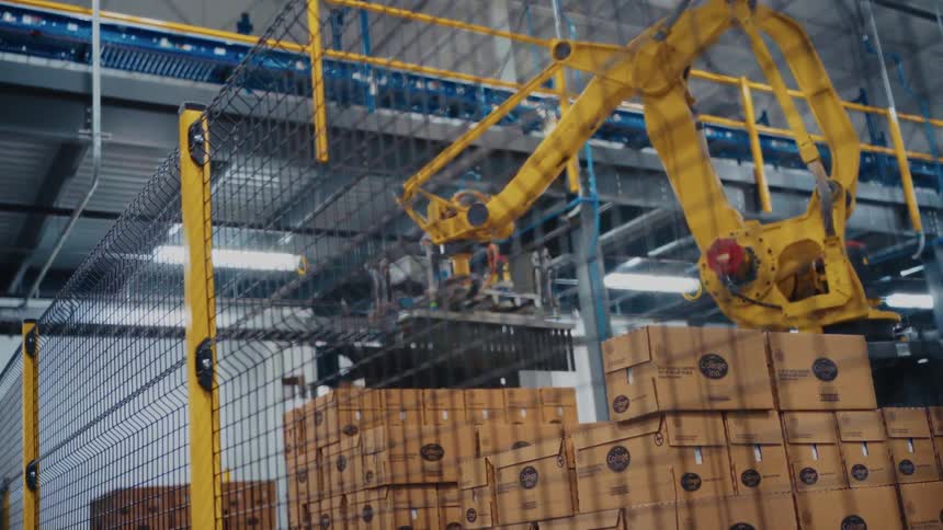 Industrial robotic arm handling stacked boxes on an automated production line