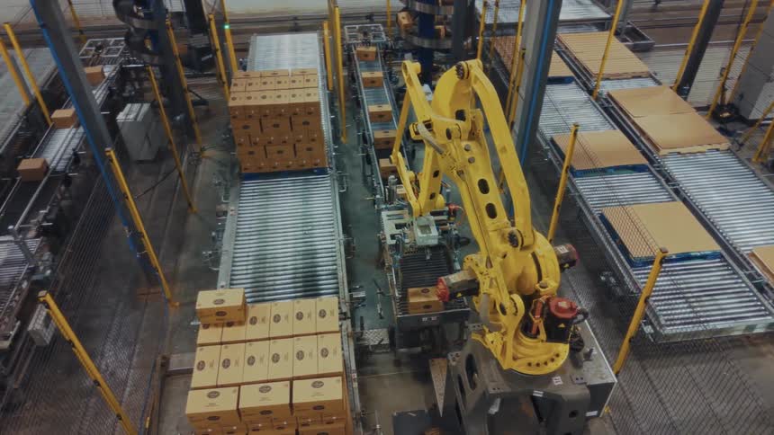 Industrial robotic arms operating on an automated line with conveyors pallets and wooden sheets