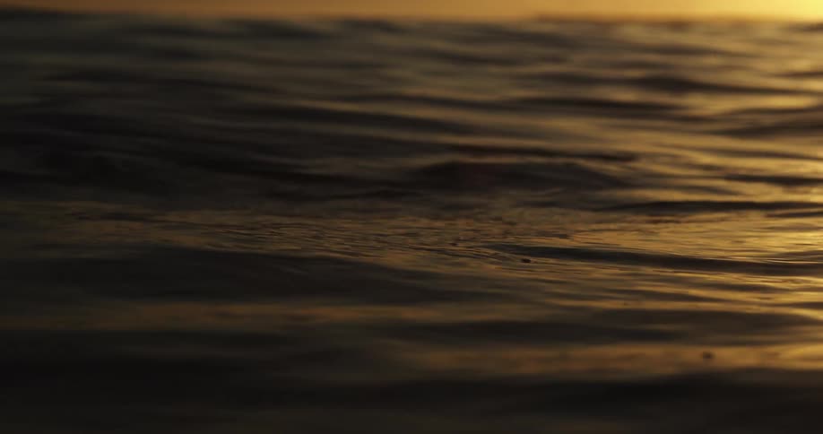 Undulating ocean water captures rippling waves bathed in warm golden light at sunset where highlights shimmer across the surface and darker troughs create a calm rhythmic texture that fades into the glowing horizon