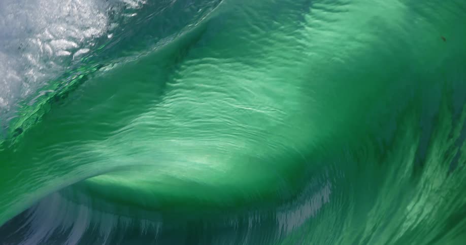 A powerful ocean wave curls inward in a smooth translucent arc its deep green body streaked with light and shadow as churning water