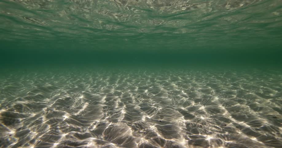 An underwater view of the ocean