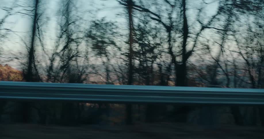 Highway alongside trees with mountains in the background