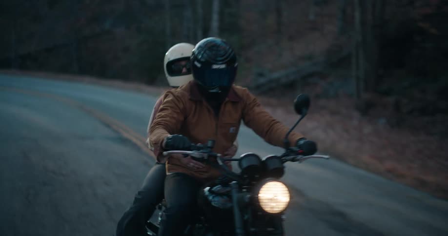 The motorcycle passes by the trees on the road