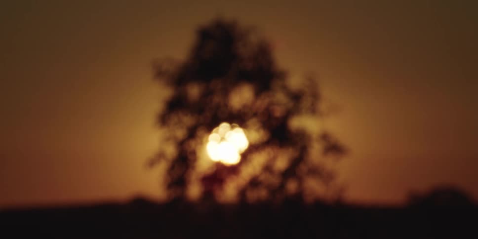 The sun shines brightly through the dark outoffocus silhouette of a tree during a warm sunset the light creates a soft bokeh effect as it filters through the branches against a deep orange sky