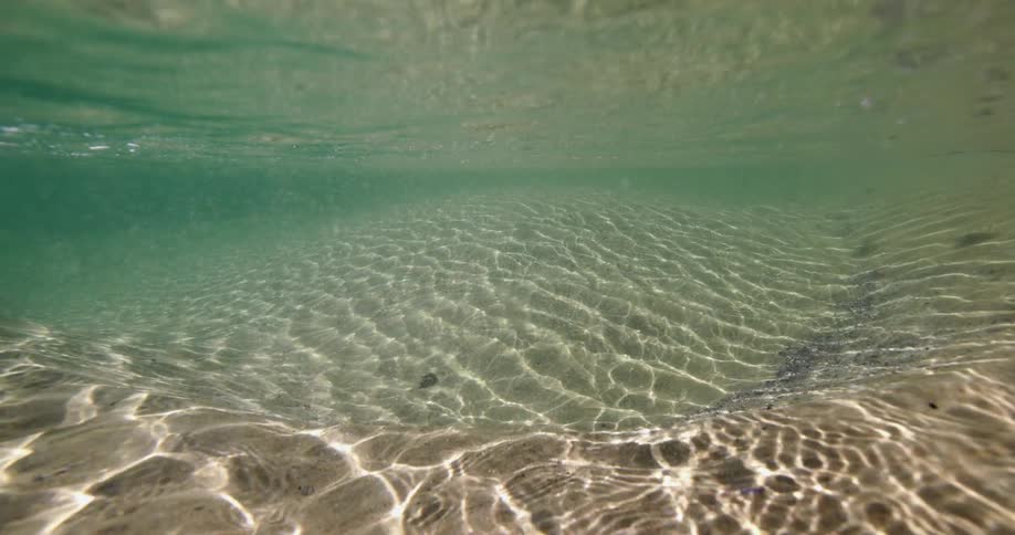 A view of the ocean underwater