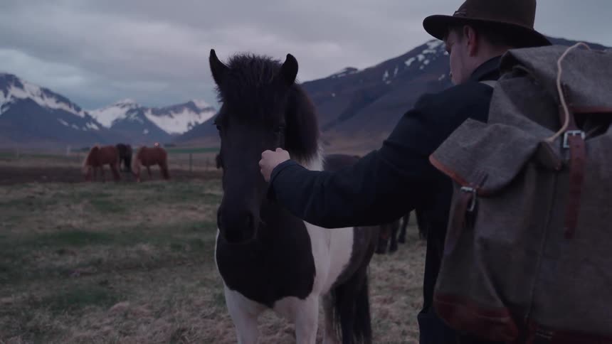 Man with a backpack interacting with a horse in a field