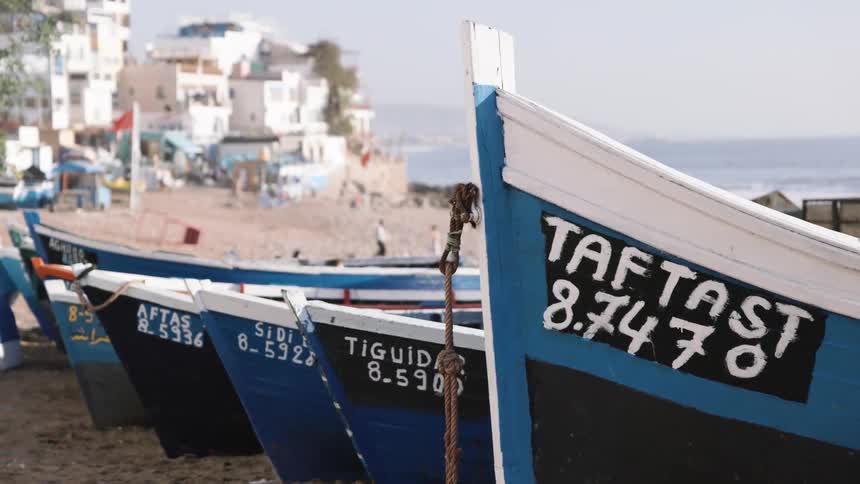 A row of blueandwhite fishing boats rests on a sandy shoreline their weathered bows marked with handpainted names and numbers while a sunlit coastal town and calm sea blur softly in the background