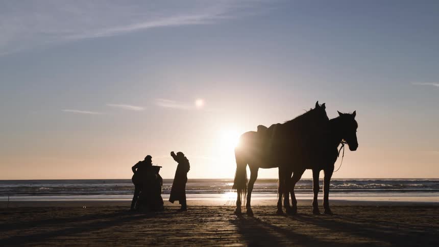 People chatting next to two horses on the beach sand with the sun and the sea in the background