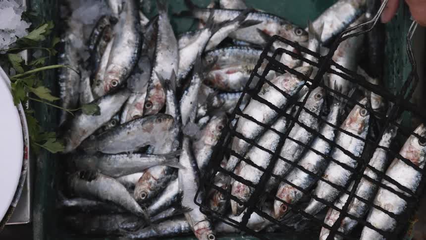 From overhead a grilling basket filled with fresh sardines is lifted and set down on a bed of crushed ice ready for cooking