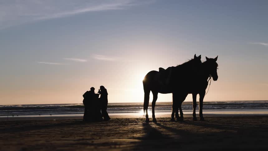 Against a glowing sunset on a quiet beach two silhouetted horses stand patiently in the foreground while a small group of people stand and face one another near the shoreline