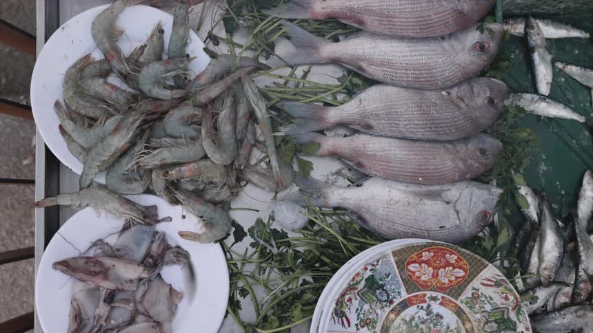 An overhead shot displays an assortment of fresh seafood including fish shrimp and squid arranged on plates over a bed of herbs