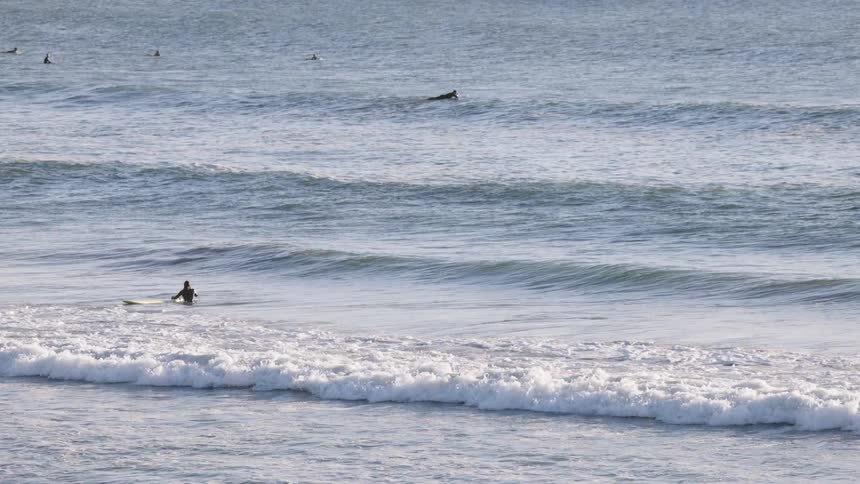A group of people swimming with a surfboard in the ocean near the beach at midday as waves crash toward the coastline