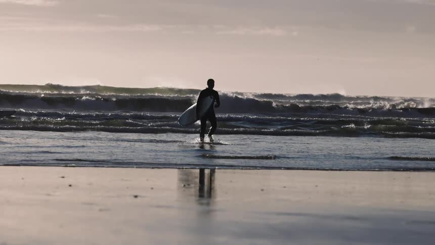 Surfers walk out of the water with their boards