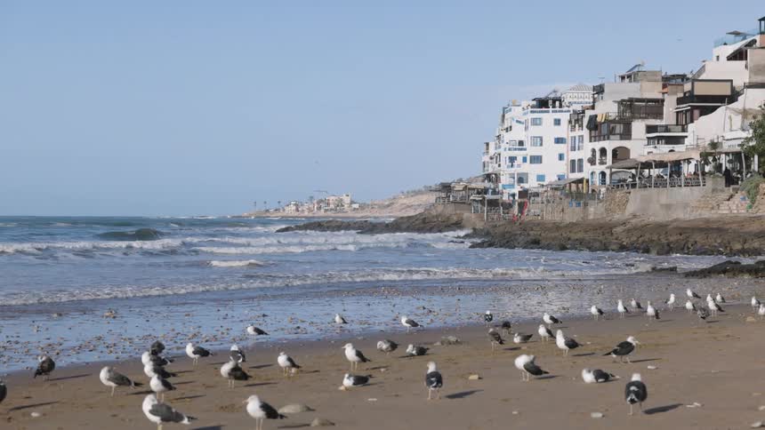 A flock of seagulls stands on a sandy beach as waves roll in with a picturesque coastal village built into the hillside in the background