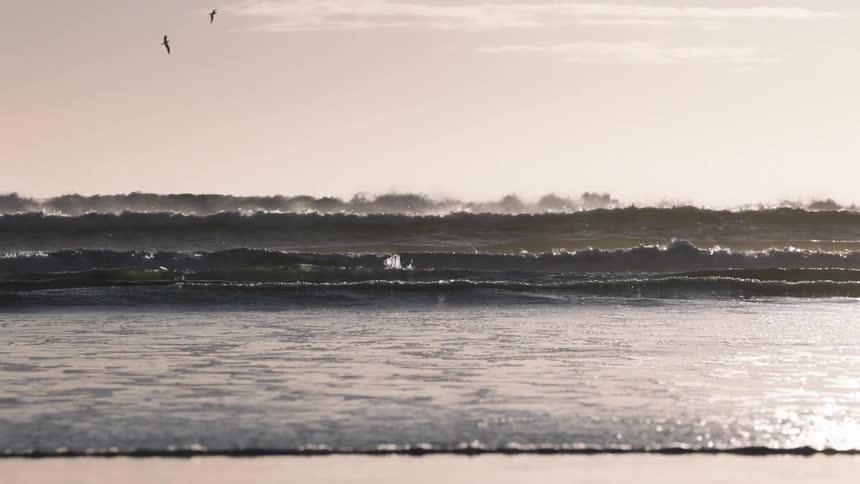 Birds flying above small waves in the ocean