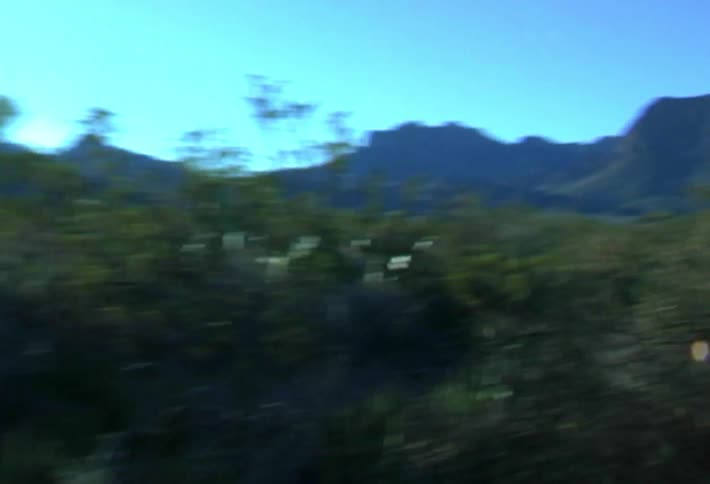 Dense vegetation in the foreground with mountains in the background under a blue sky