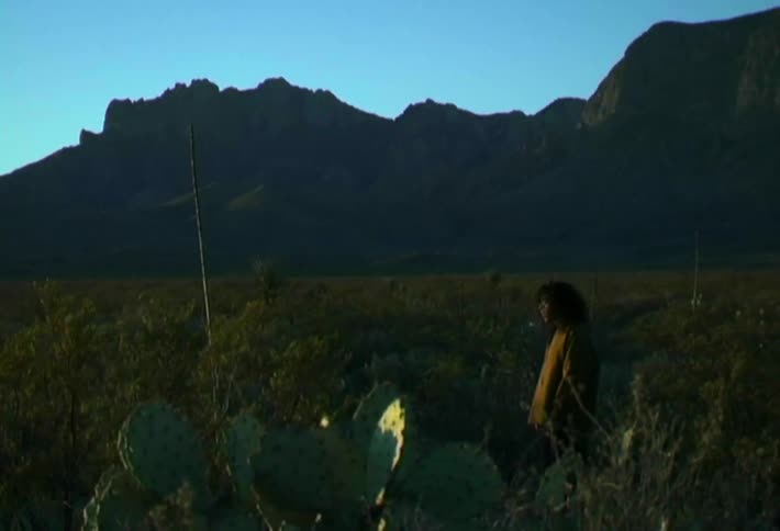 Person walks through open vegetation with cacti in the foreground and a mountain range in the background