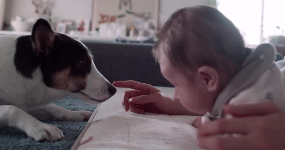 Baby lying on a bed as their mother touches the pet dog with her finger