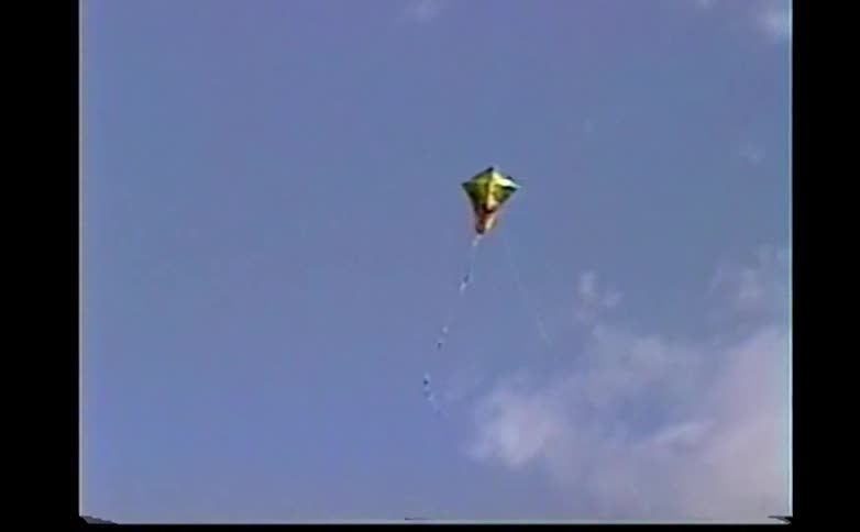 Little boy standing in his yard holding the string of a kite flying in a cloudy sky