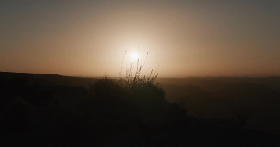 Vegetation silhouette on a ridge with a low sun and haze on the horizon