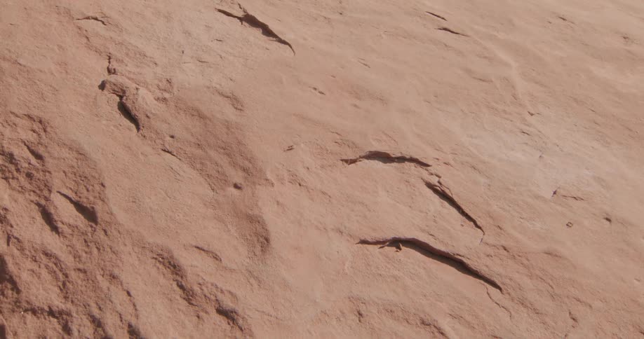 A close view of an insect crawling over a textured orange rock face with small cracks and shadows under bright sunlight in a desert environment