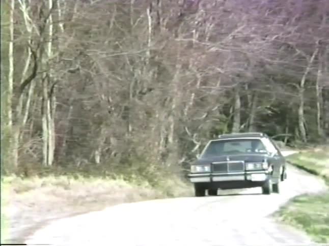 Car driving along a rural road bordered by leafless vegetation