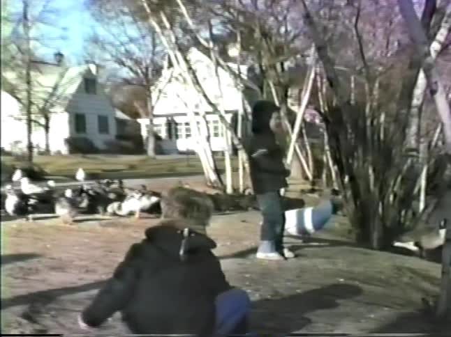 Children throwing stones across a neighborhood pond as pigeons walk in the street