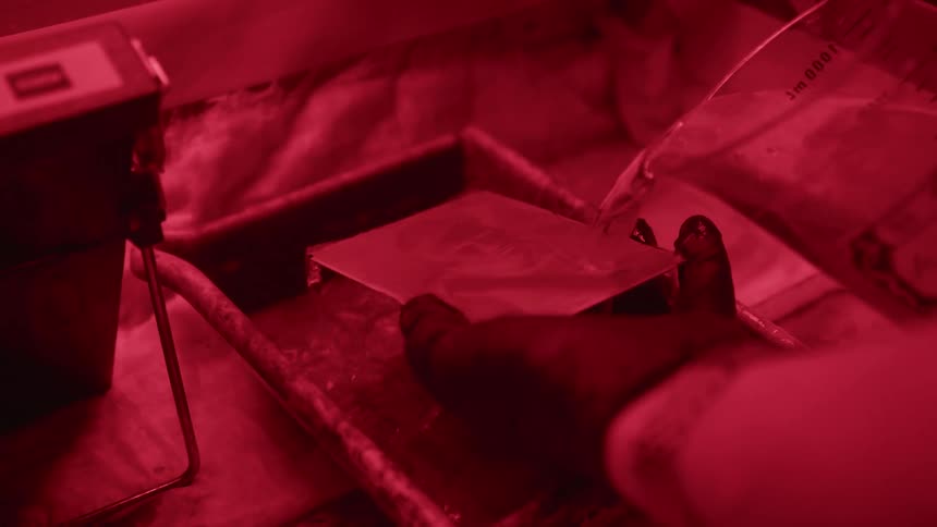 A person wearing black gloves carefully holds a small glass plate over a chemical tray in a darkroom illuminated by a deep red light