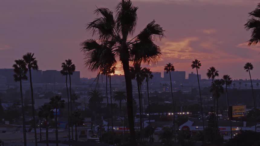 A wide static shot captures a purple and orange sunset behind a city skyline framed by several tall palm trees in the foreground while silhouettes of buildings and commercial signs fill the middle ground as the light fades over the urban area