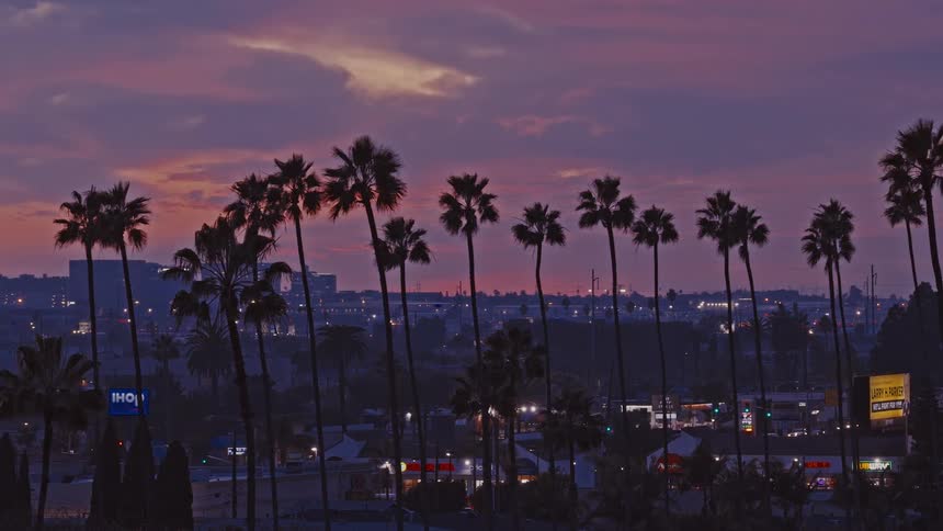 Palm trees stand in silhouette against a purple and orange sunset as the city lights begin to flicker across the urban horizon during the transition from dusk to night