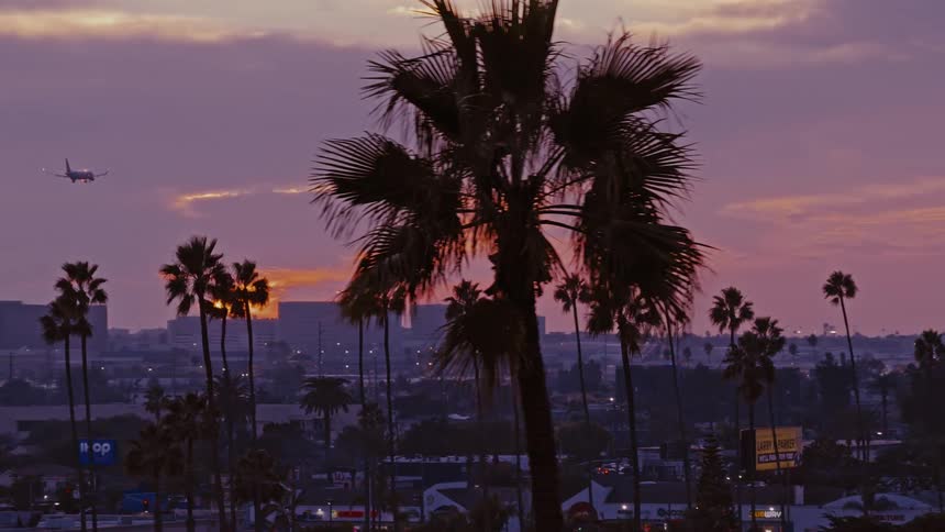 Aerial view of a town with tall palm trees overlooking buildings as an airplane flies across a cloudy sky and the sun glows on the horizon
