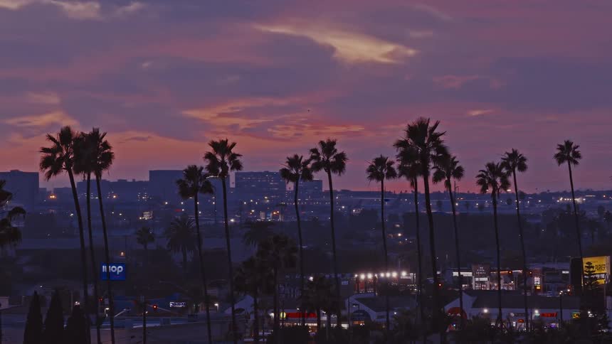 Aerial view of a city skyline framed by silhouetted palm trees beneath a purple sunset sky