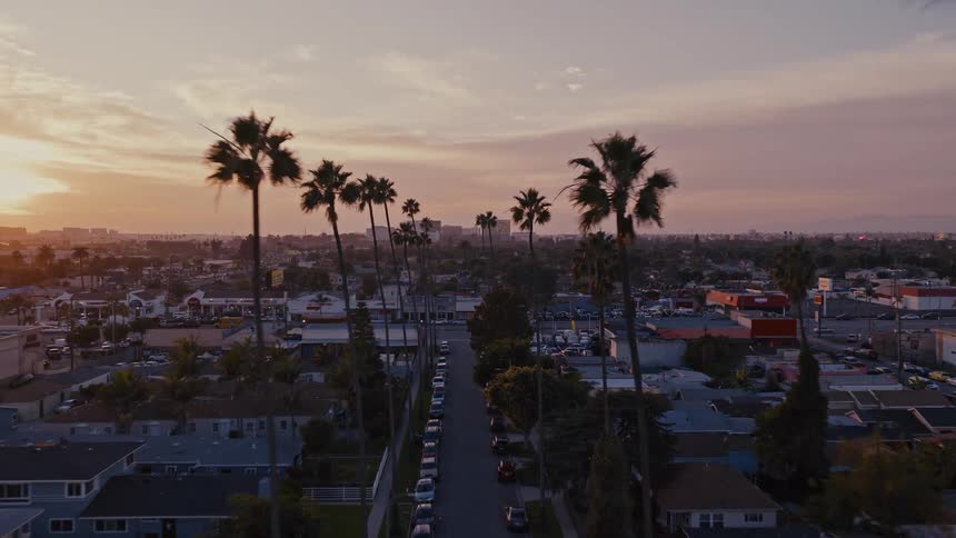 A drone flies forward over a residential street lined with tall palm trees during sunset capturing rows of houses and parked cars leading toward a distant city horizon under a glowing orange and purple sky