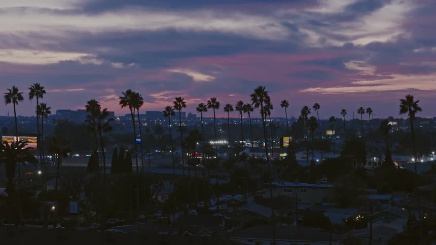 A city skyline during sunset featuring a purple and orange sky behind a row of tall palm trees and in the foreground there are residential houses and city streets with glowing lights