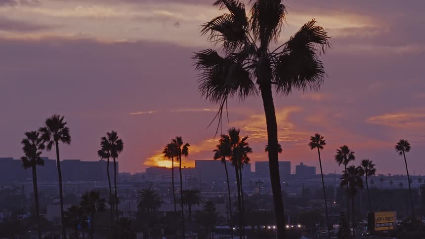 Aerial view of a town with tall palm trees overlooking buildings under a cloudy sky as the sun glows on the horizon