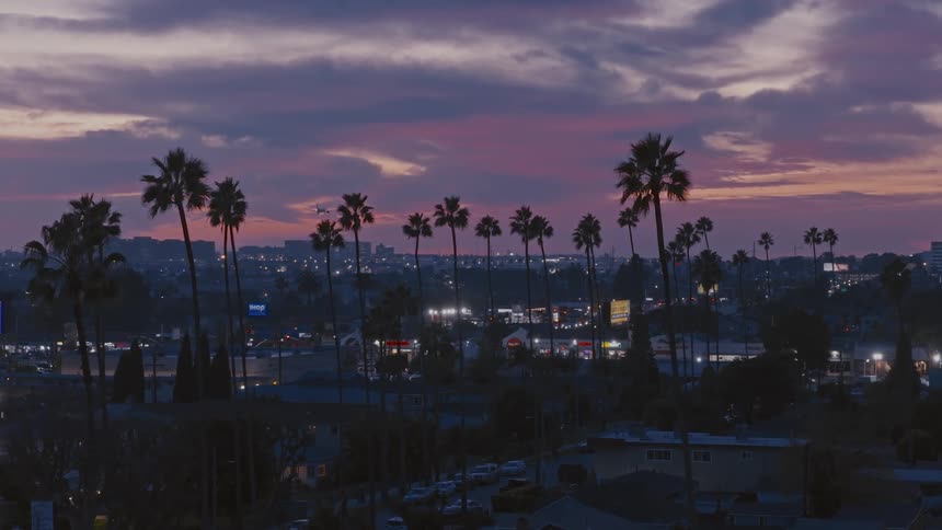 Palm trees tower over brightly lit buildings at night under a cloudy red sky