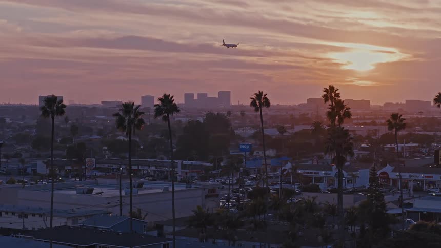 Aerial view of a city skyline with an airplane flying above palm trees at sunset