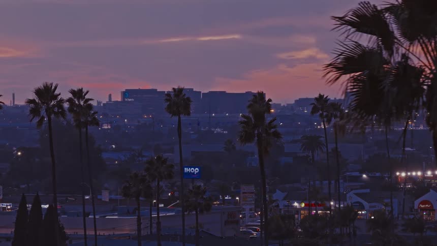 Aerial view of a town with tall palm trees overlooking buildings as traffic moves on the street under a cloudy sky